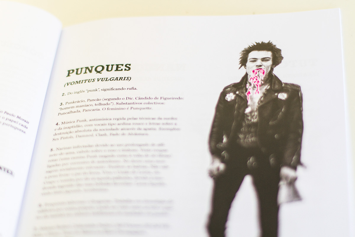 Photo of book illustration - Punk sex pistols